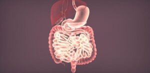 Read more about the article Effective Homoeopathic Remedies for IBS, Gastritis, and Acid Reflux