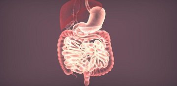 Effective Homoeopathic Remedies for IBS, Gastritis, and Acid Reflux